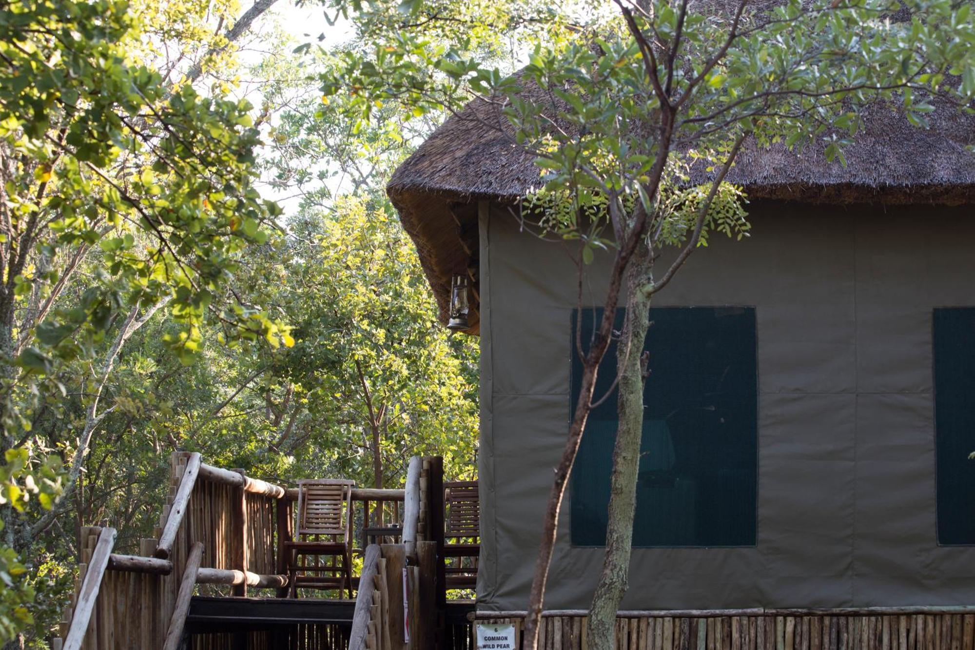 Honeyguide Ranger Camp Golders Green Quarto foto